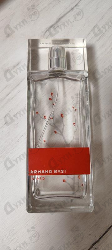 Купить In Red от Armand Basi