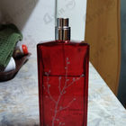 Отзыв Armand Basi In Red