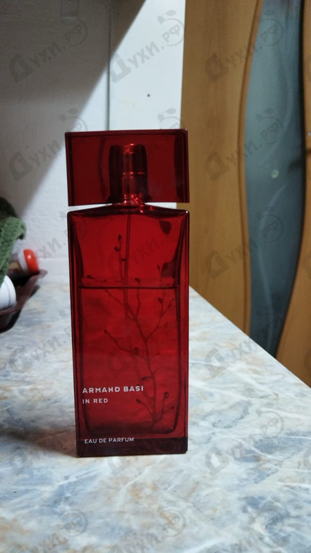 Купить In Red от Armand Basi