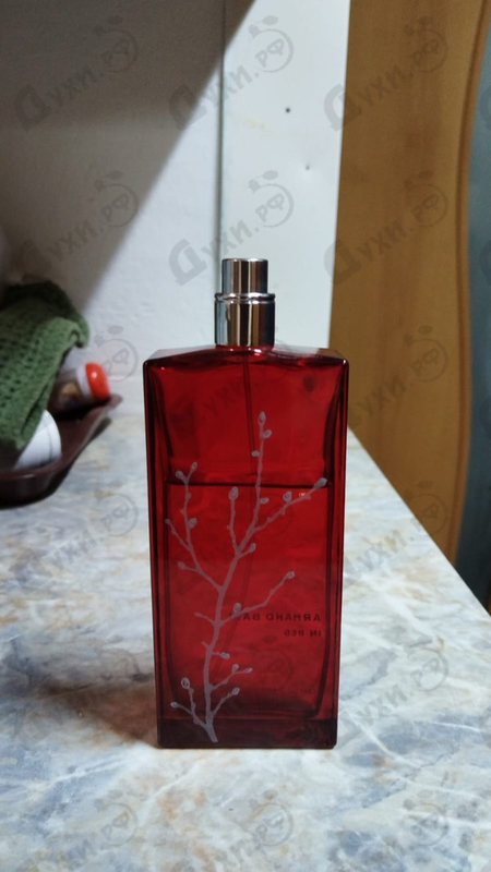 Парфюмерия In Red от Armand Basi