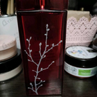 Духи In Red от Armand Basi