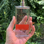 Парфюм Armand Basi In Red