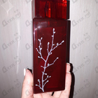 Отзыв Armand Basi In Red