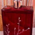 Парфюм Armand Basi In Red