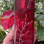 Духи In Red от Armand Basi