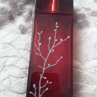 Отзыв Armand Basi In Red