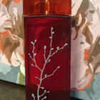 Парфюм Armand Basi In Red