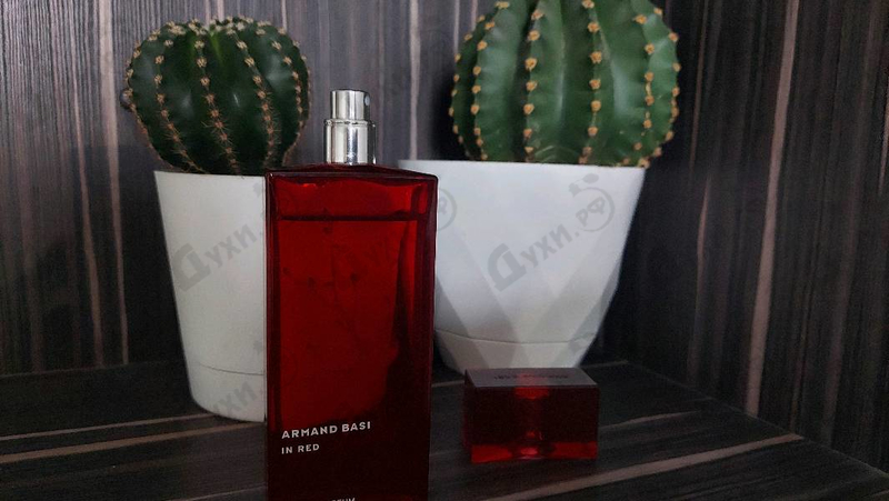 Духи In Red от Armand Basi