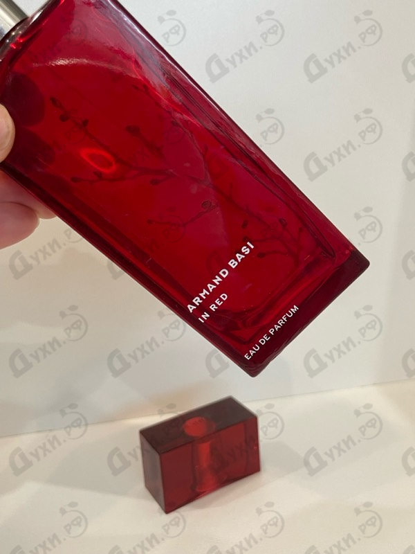 Купить In Red от Armand Basi