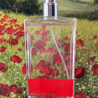 Отзывы Armand Basi In Red