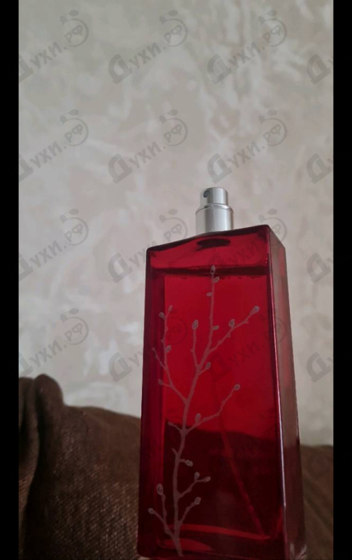 Парфюмерия In Red от Armand Basi