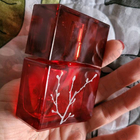 Парфюм Armand Basi In Red