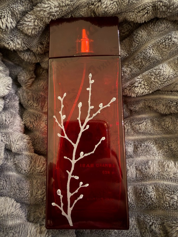 Отзыв Armand Basi In Red