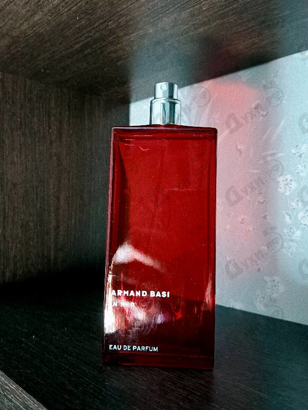 Купить In Red от Armand Basi