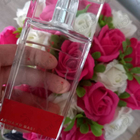 Отзывы Armand Basi In Red