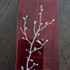 Парфюмерия In Red от Armand Basi Купить Armand Basi In Red