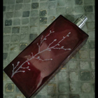 Отзыв Armand Basi In Red