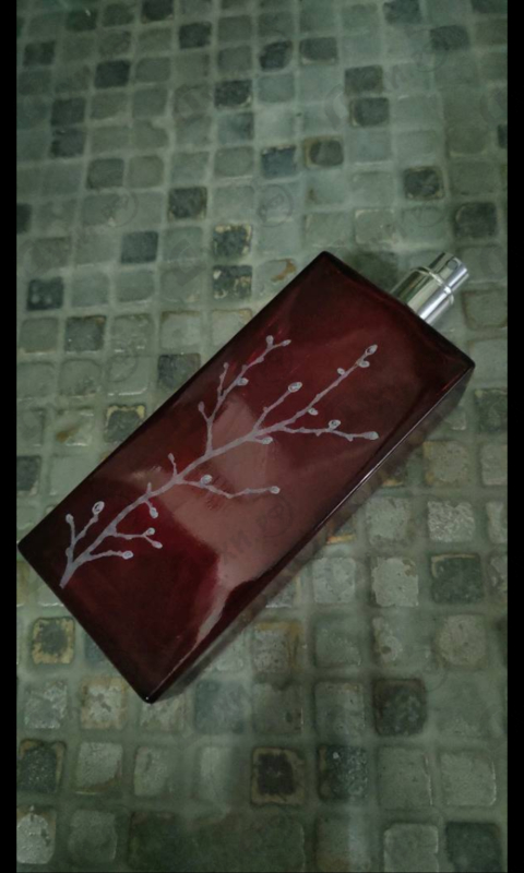 Парфюмерия Armand Basi In Red