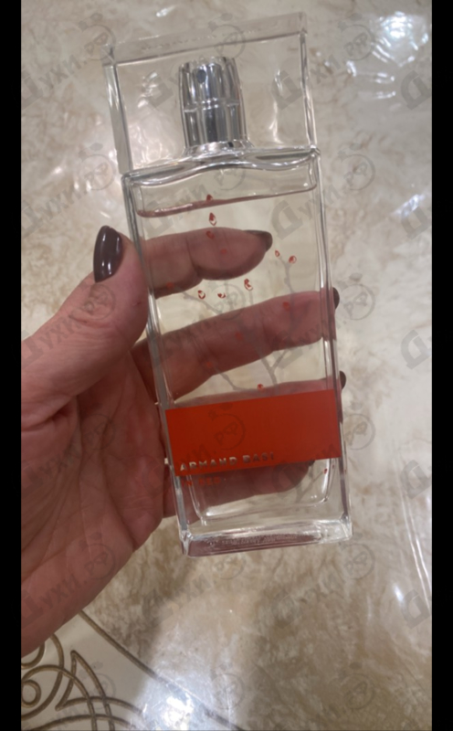 Купить In Red от Armand Basi