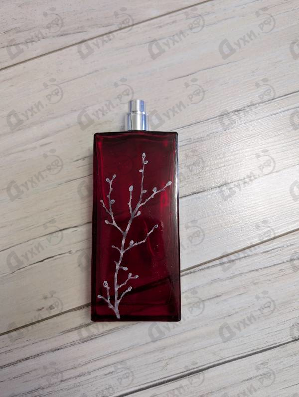 Купить In Red от Armand Basi