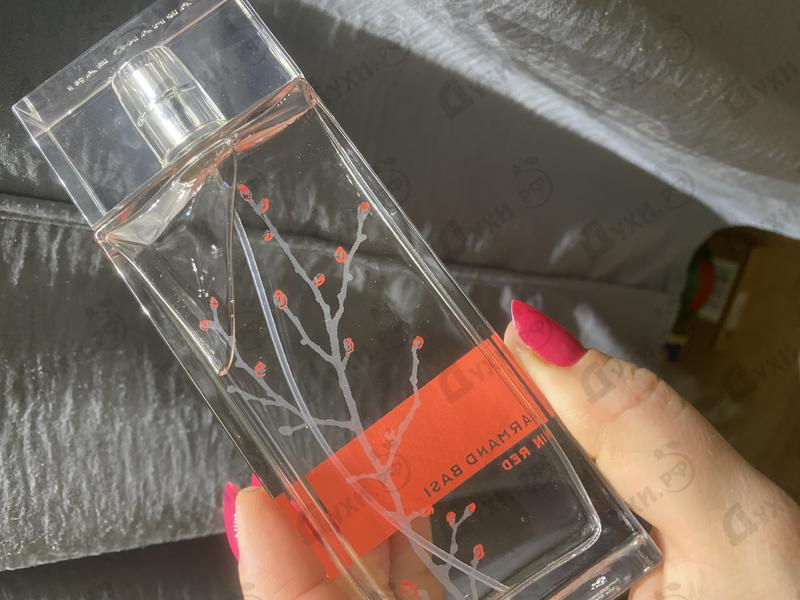 Отзывы Armand Basi In Red