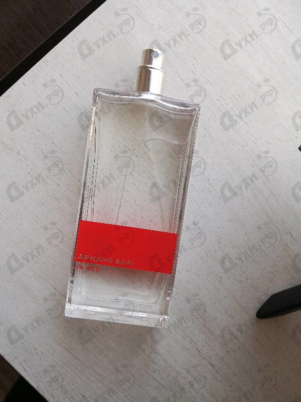 Парфюмерия In Red от Armand Basi