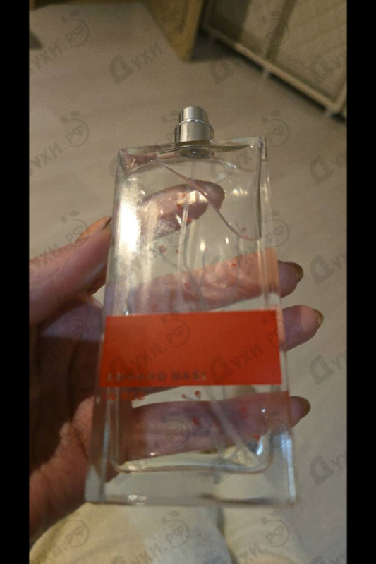 Купить Armand Basi In Red