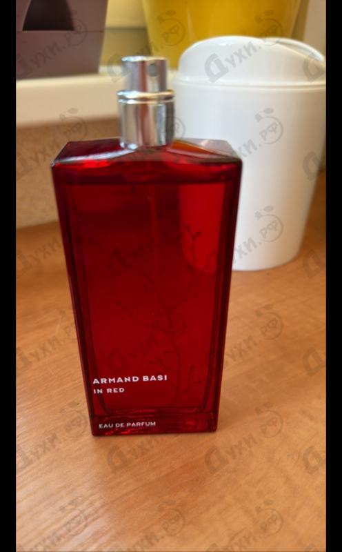 Купить In Red от Armand Basi
