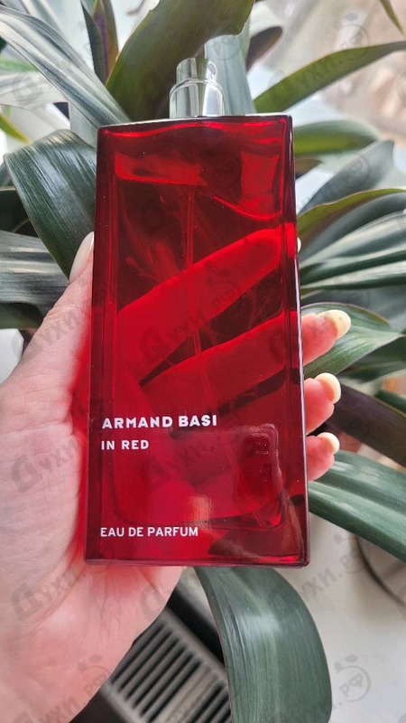 Купить In Red от Armand Basi