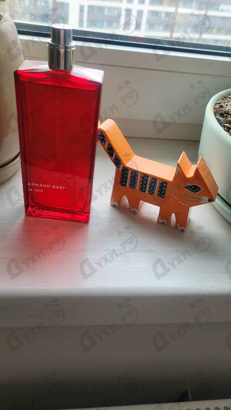 Парфюмерия In Red от Armand Basi