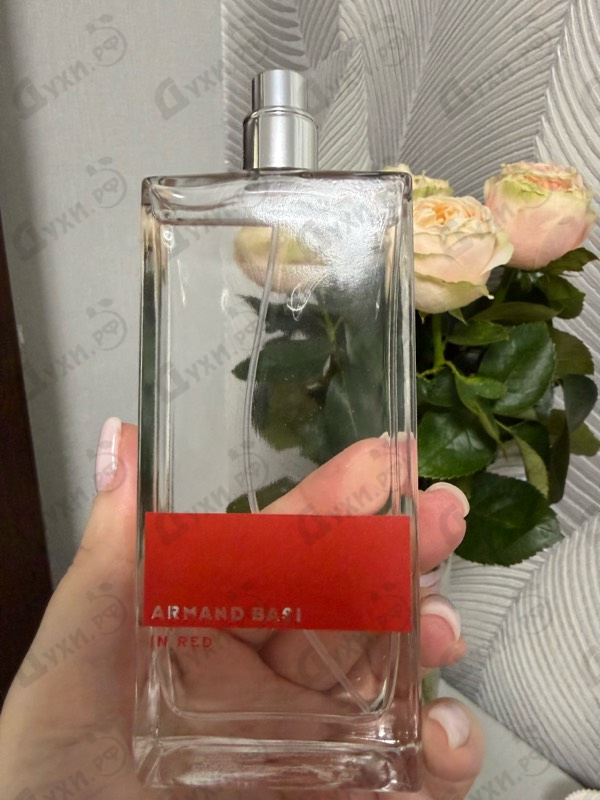 Купить In Red от Armand Basi