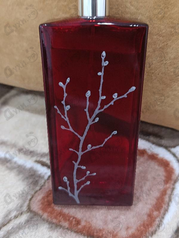 Парфюмерия In Red от Armand Basi