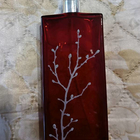 Отзыв Armand Basi In Red