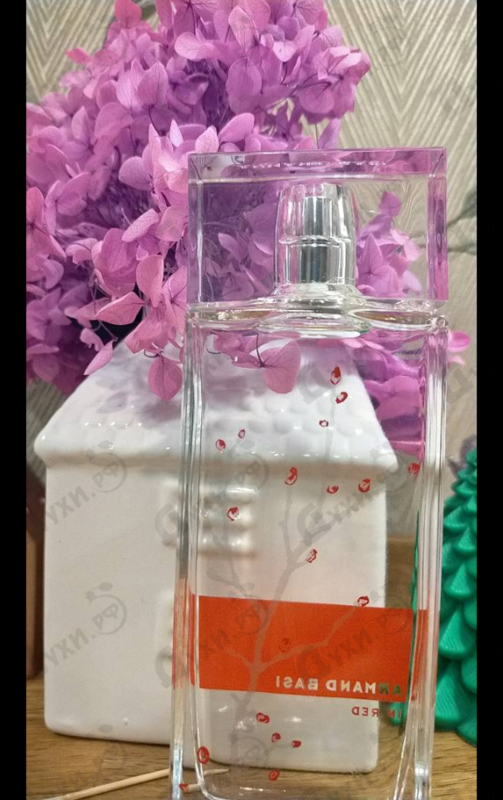 Купить In Red от Armand Basi