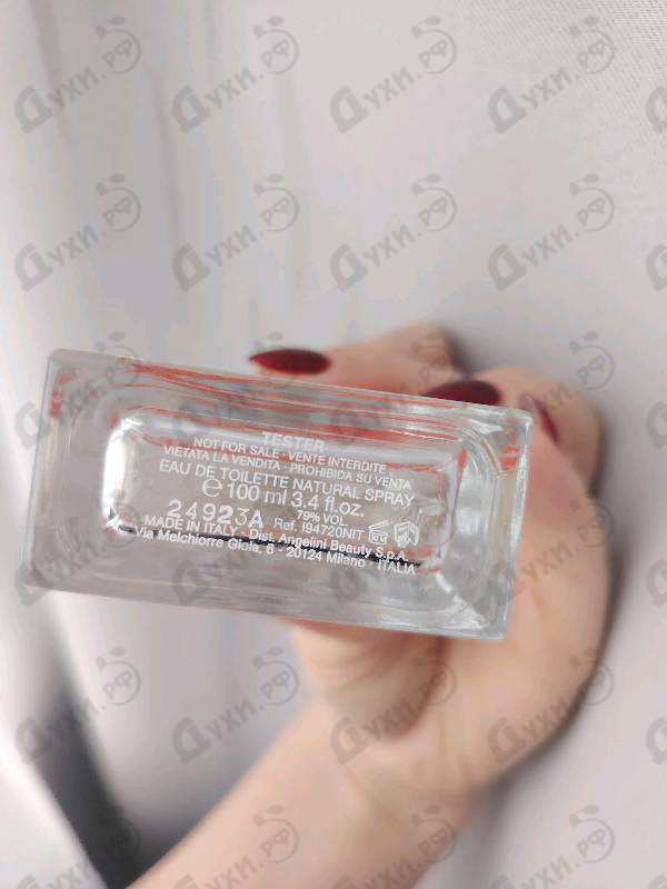 Парфюмерия In Red от Armand Basi