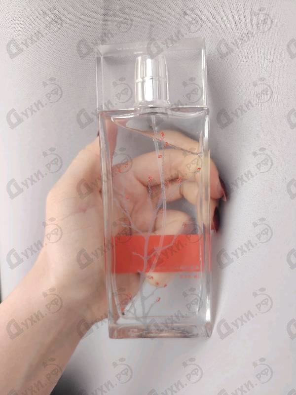 Купить Armand Basi In Red