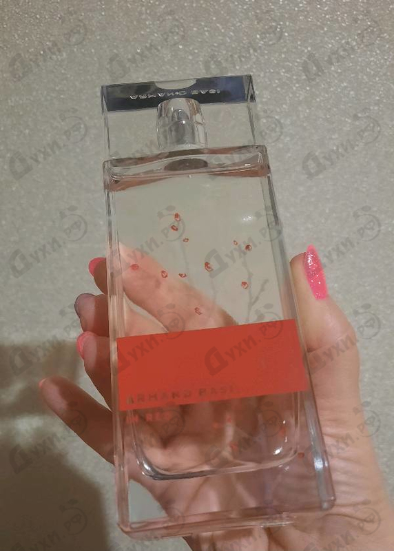 Купить Armand Basi In Red