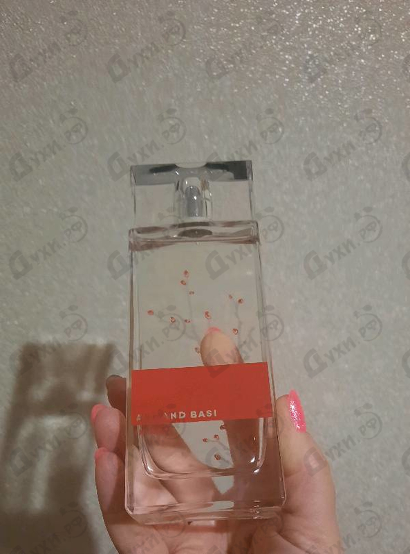 Купить In Red от Armand Basi