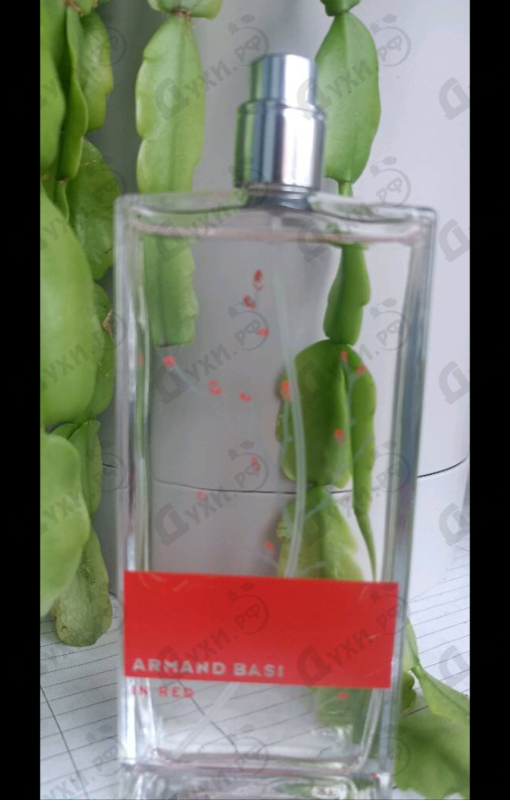 Парфюмерия Armand Basi In Red