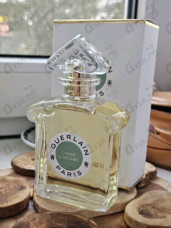 Купить Guerlain Chant D'Aromes Eau De Toilette 2021