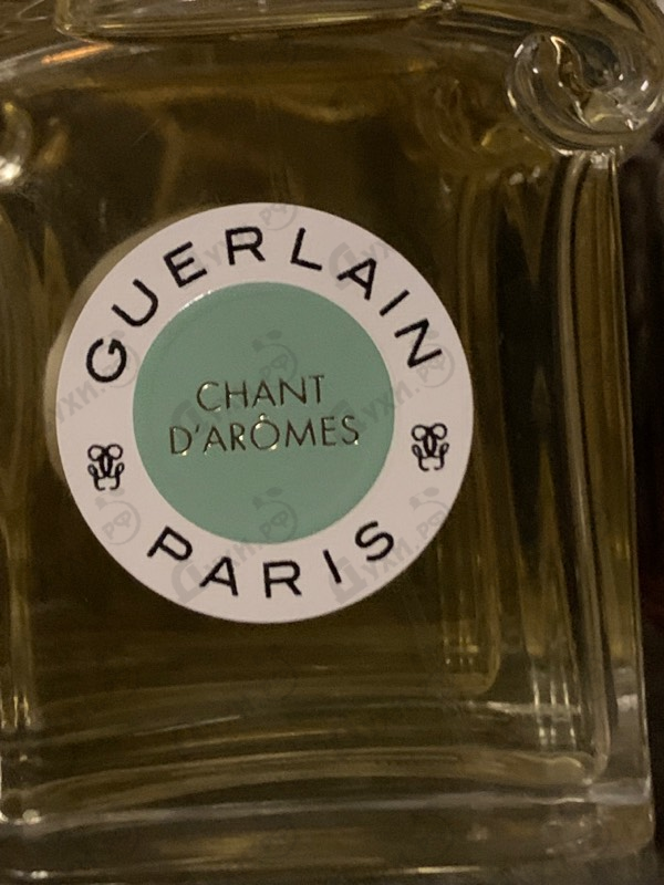 Отзыв Guerlain Chant D'Aromes Eau De Toilette 2021