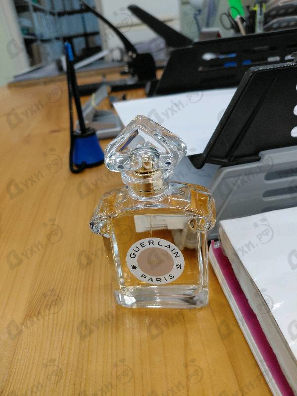 Купить Idylle Eau De Parfum 2021 от Guerlain
