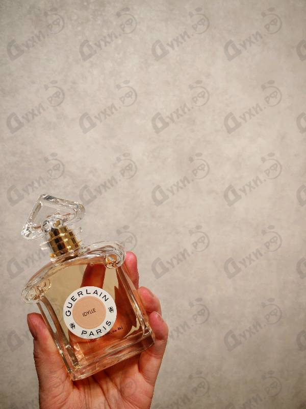 Купить Idylle Eau De Parfum 2021 от Guerlain