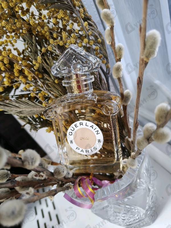Купить Guerlain Idylle Eau De Parfum 2021