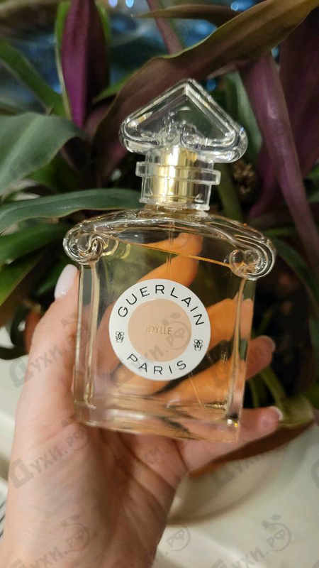 Духи Idylle Eau De Parfum 2021 от Guerlain