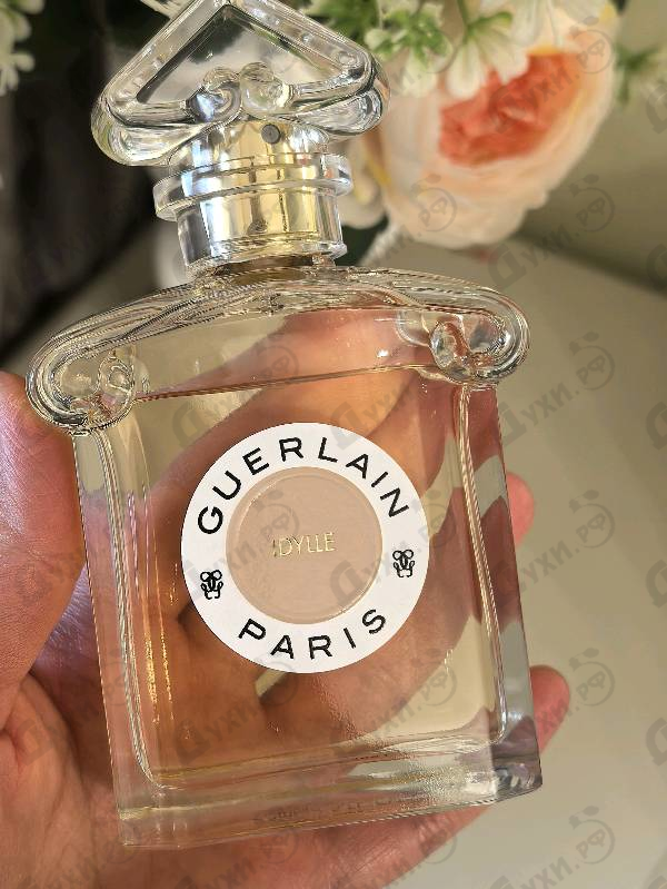 Купить Idylle Eau De Parfum 2021 от Guerlain