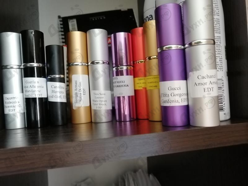 Духи Acqua Di Gio от Giorgio Armani Отзыв Giorgio Armani Acqua Di Gio