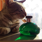 Отзывы Banana Republic Malachite