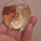 Отзыв Banana Republic Rosewood