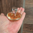 Отзыв Banana Republic Rosewood